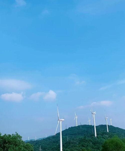 罗定市视频,探寻岭南水乡的韵味与活力