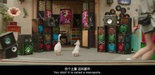 麦兵兵免费观看,畅享视听盛宴